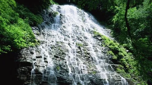 高端先进智能化